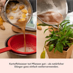[B - Ware] WunderPeeler® | V2 | Kartoffelschäler - Aufsatz für Thermomix TM6, TM5, TM31 - Wundermix GmbH